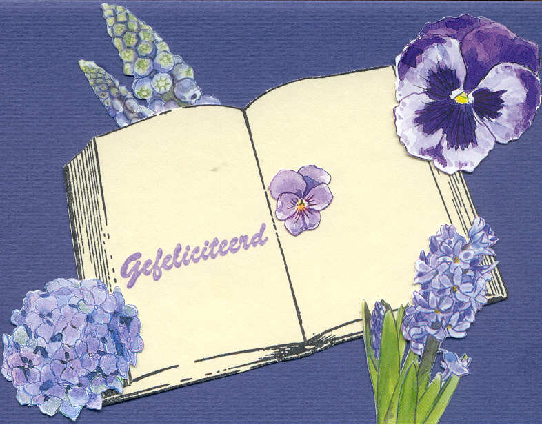bloemenfelicitatiekaarta6paarsboekmetpaarsebloemen